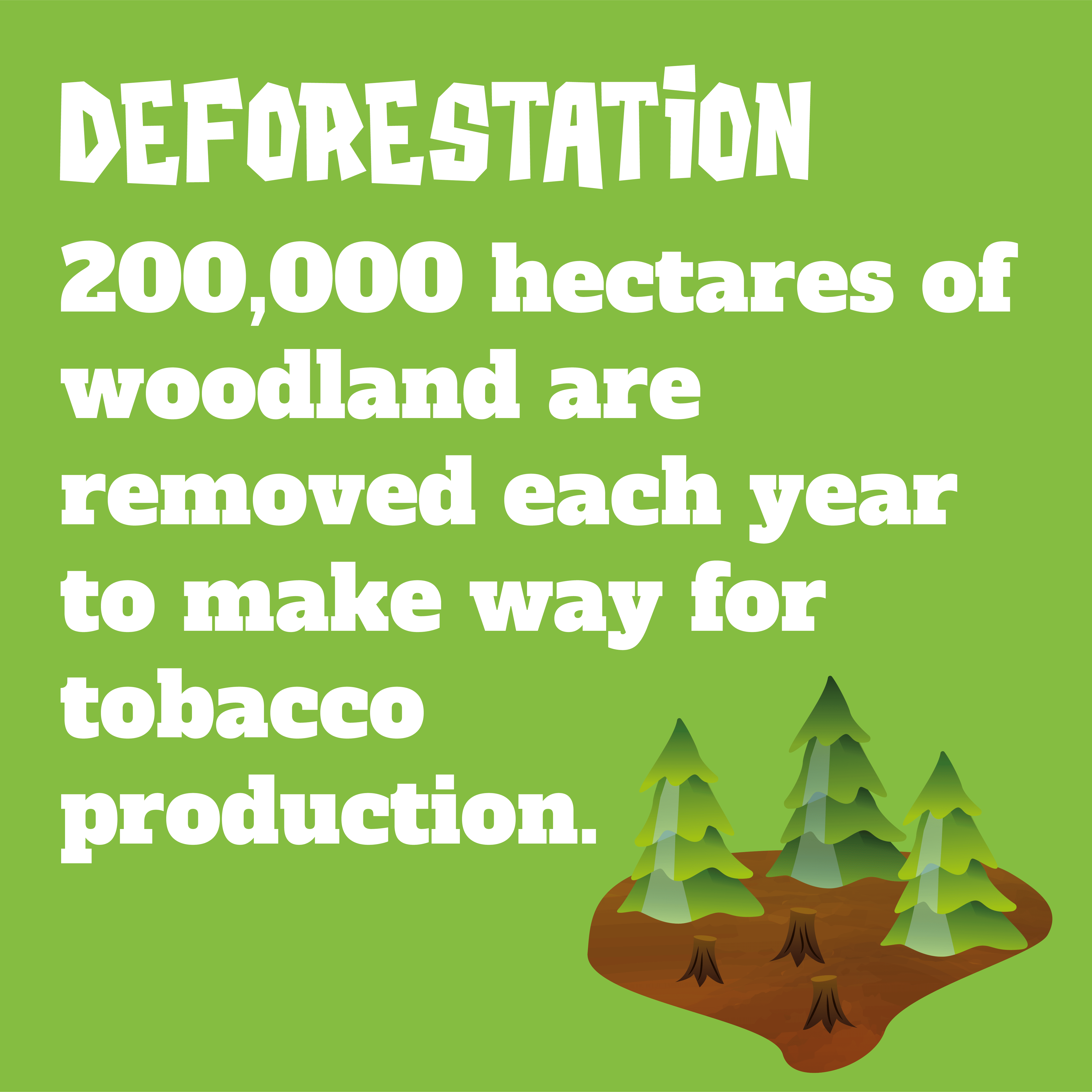 200,000 hectares of woodland are removed each year to make way for tobacco production.