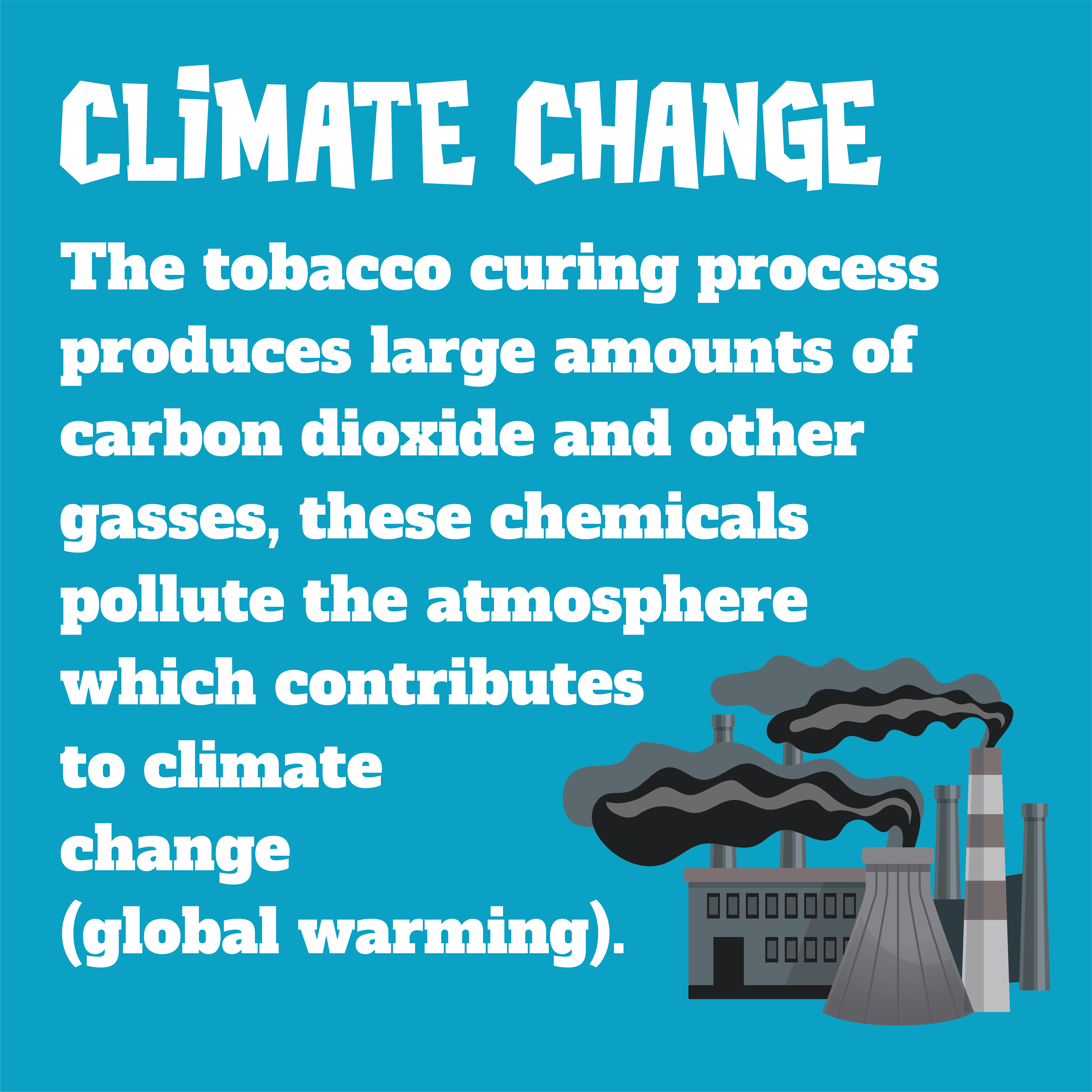 The tobacco curing process produces large amounts of carbon dioxide and other gasses, these chemicals pollute the atmosphere which contributes to climate change (global warming).